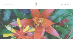 Desktop Screenshot of everypicture-shop.com